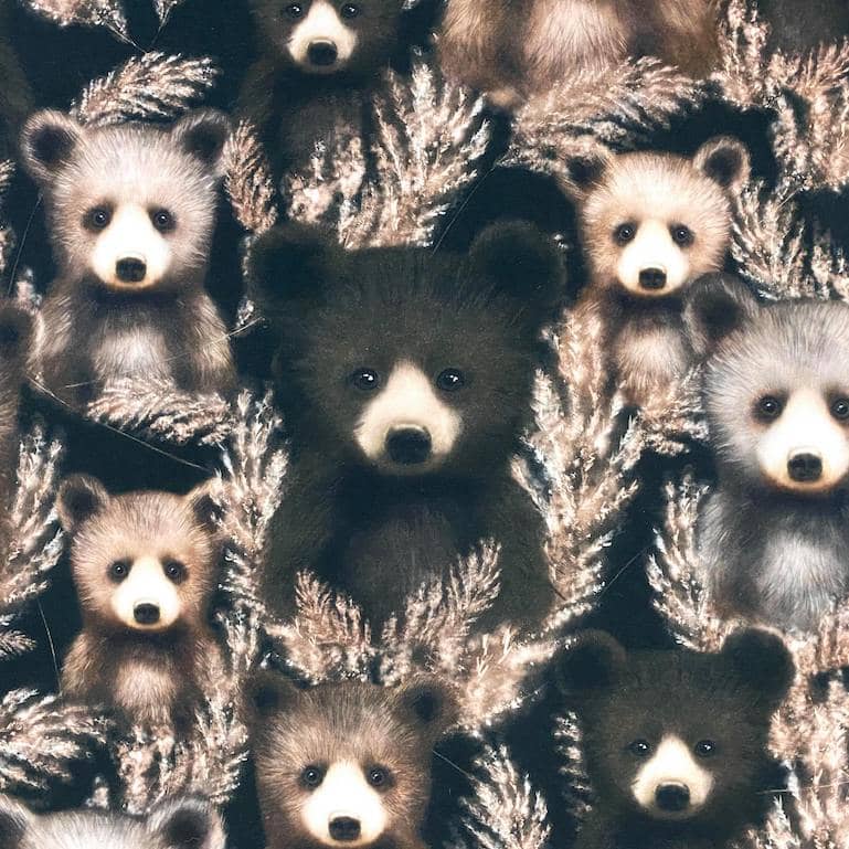 Softshell - Bears - Mainelakeus