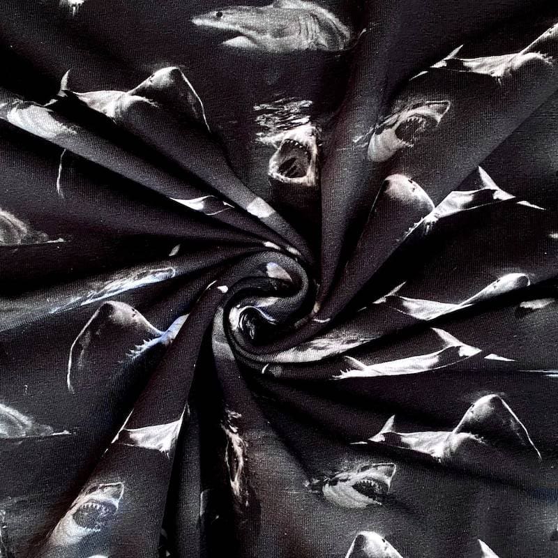 Jersey - Shark attack